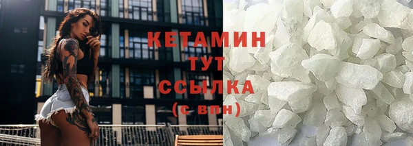 сатива Кукмор
