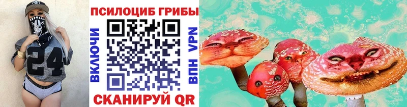 Купить закладки  Хасавюрт  Псилоцибиновые грибы ЛСД 