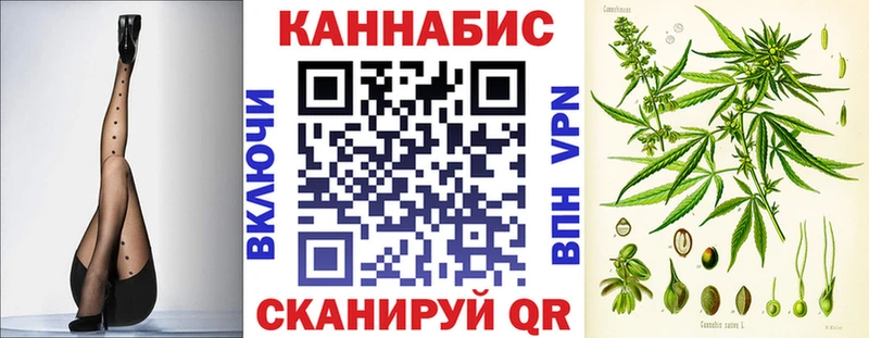 Конопля план  Купить где  Хасавюрт